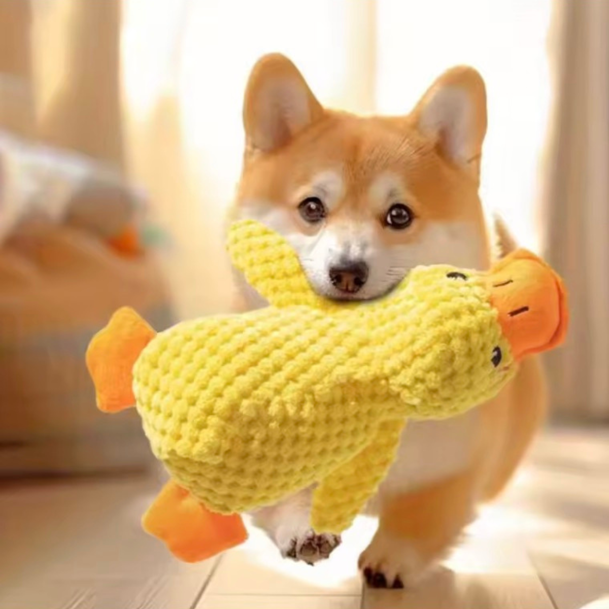 Cute dog playing with a yellow duck toy indoors