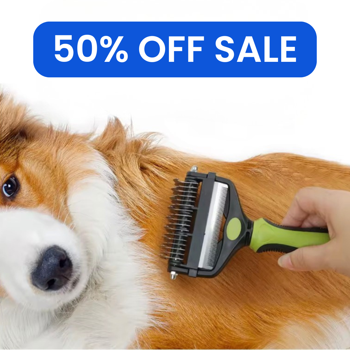 Dog being groomed with a brush held by a hand, with a '50% OFF SALE' label above.