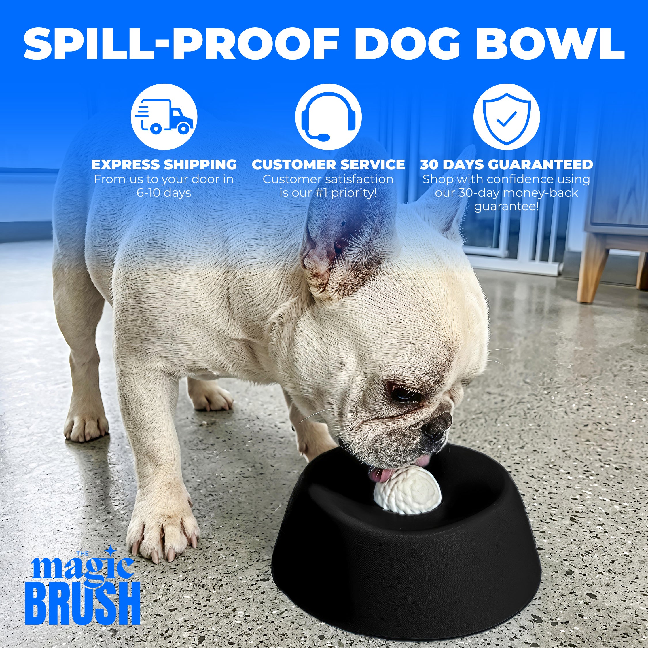 Spill-Proof Dog Bowl