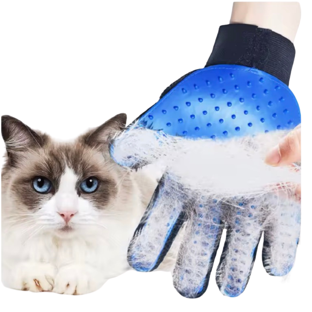 Magic Grooming Glove