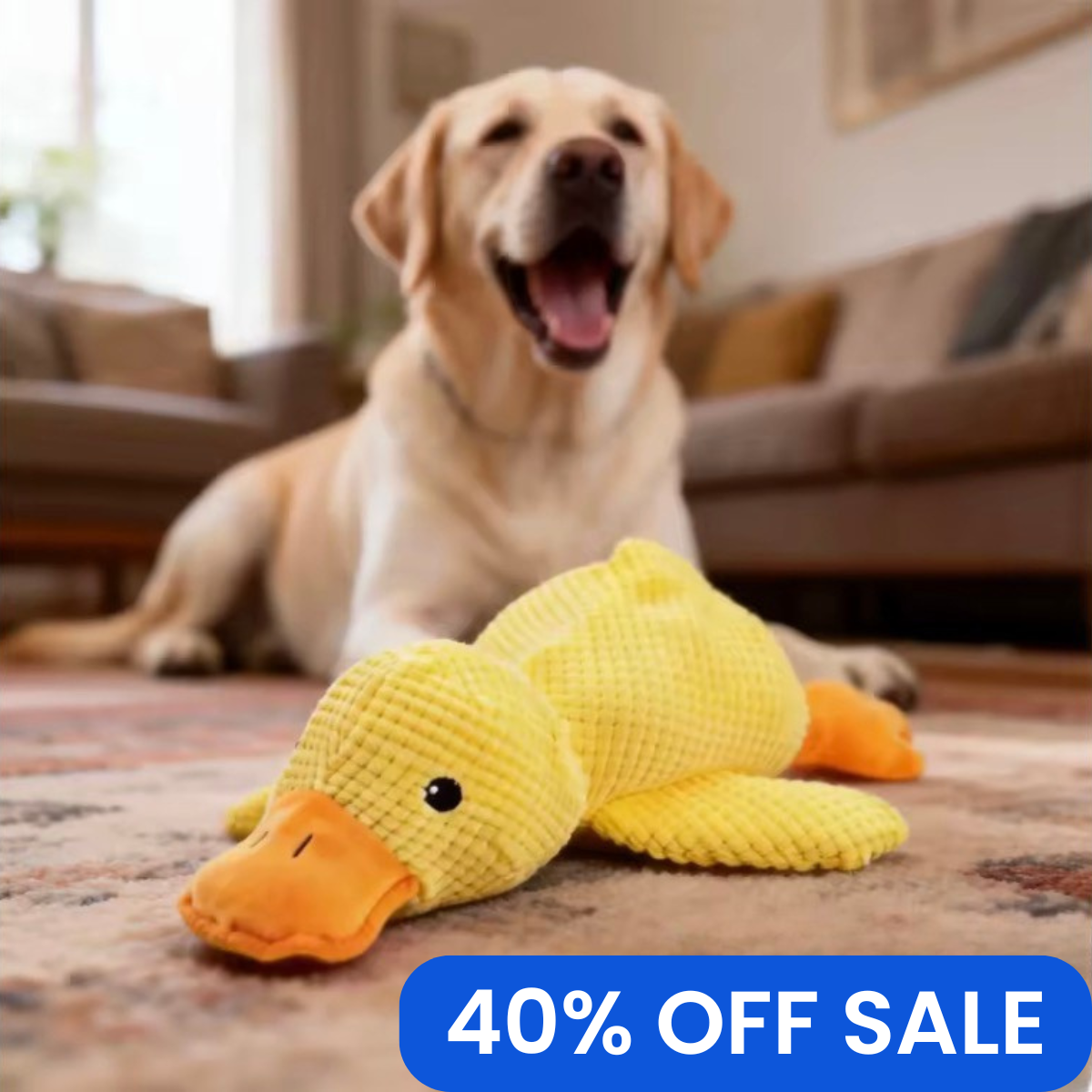 Dog playing with a yellow duck toy in a living room with a '40% OFF SALE' banner.