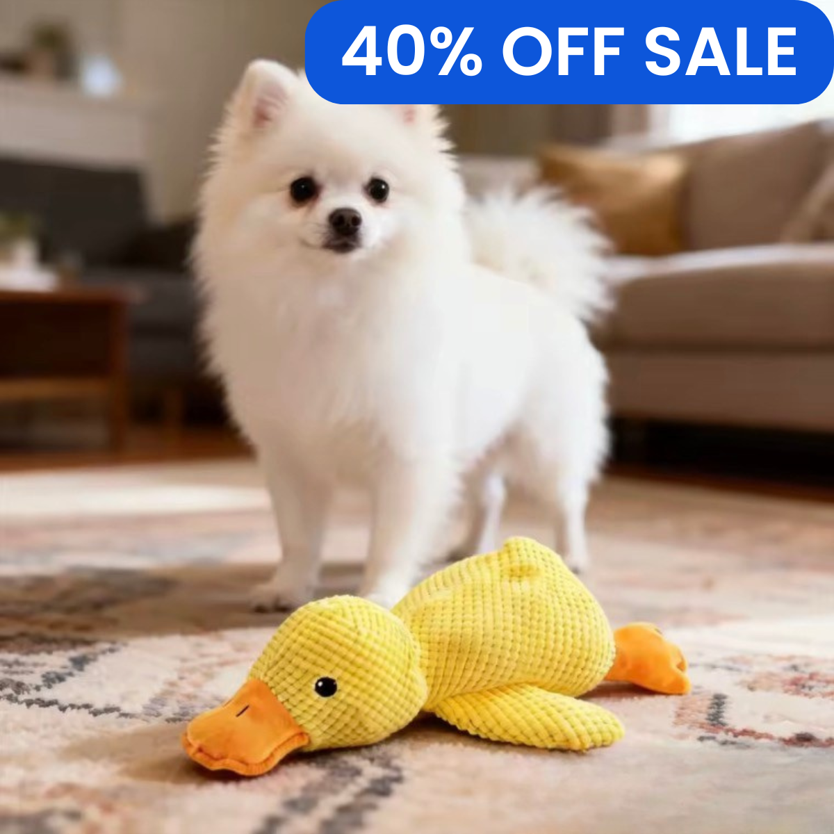 White dog with a yellow duck toy on a carpeted floor, sale banner at the top.