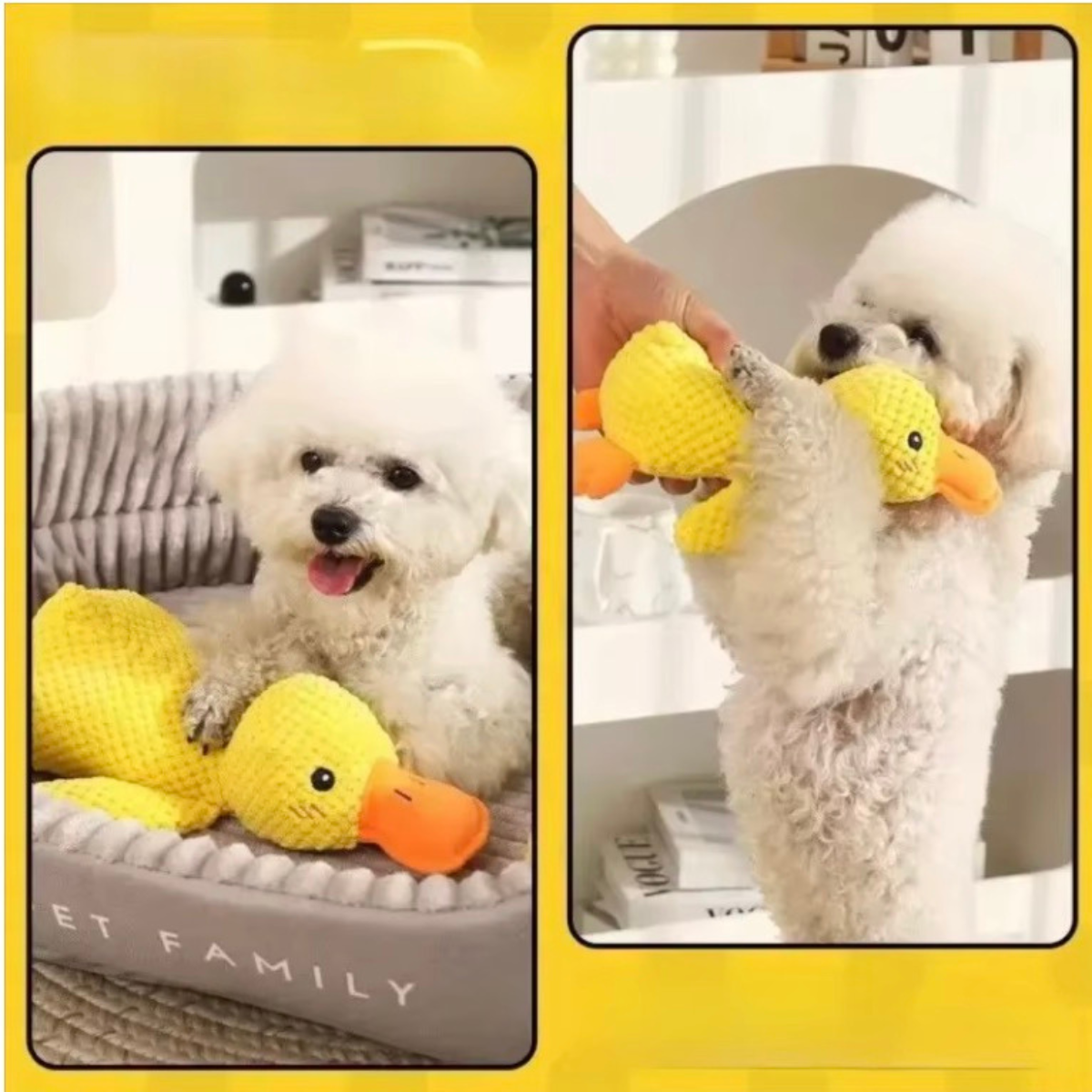 White dog playing with yellow duck-shaped toys on a bed.