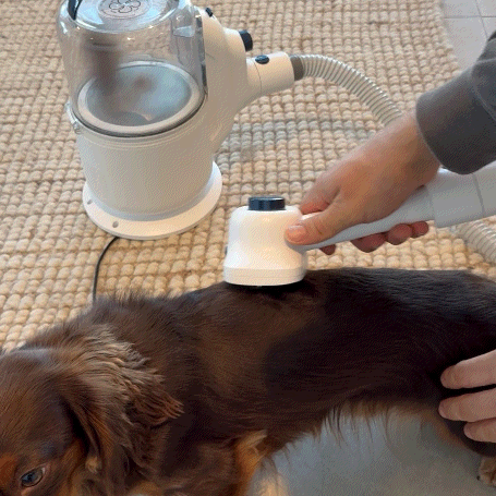 5 in 1 Grooming Vacuum