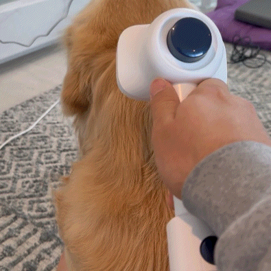 5 in 1 Grooming Vacuum