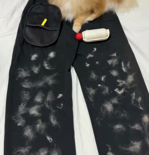 The Magic Brush™ - Buy 1 Get 1 Free