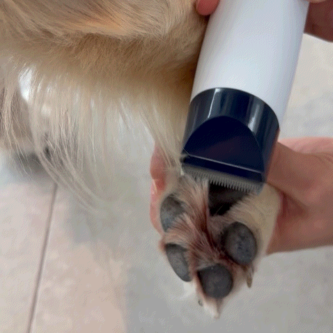 5 in 1 Grooming Vacuum
