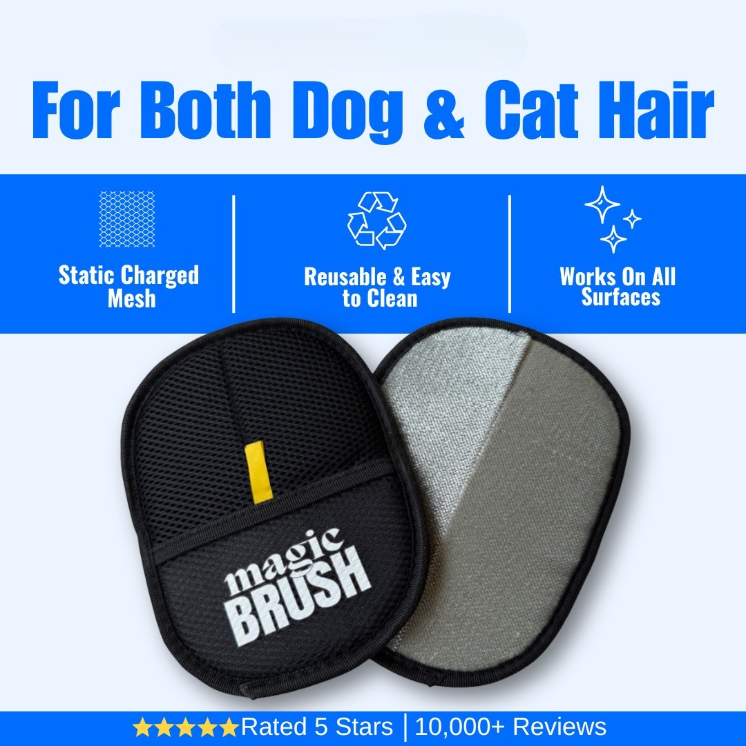 Magic Brush pet hair removal tool for dog and cat hair with features listed on a blue background.