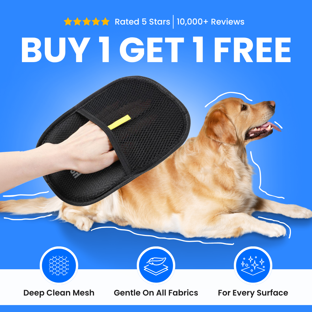The Magic Brush™ - Buy 1 Get 1 Free
