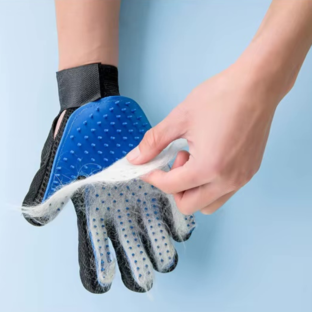 Magic Grooming Glove