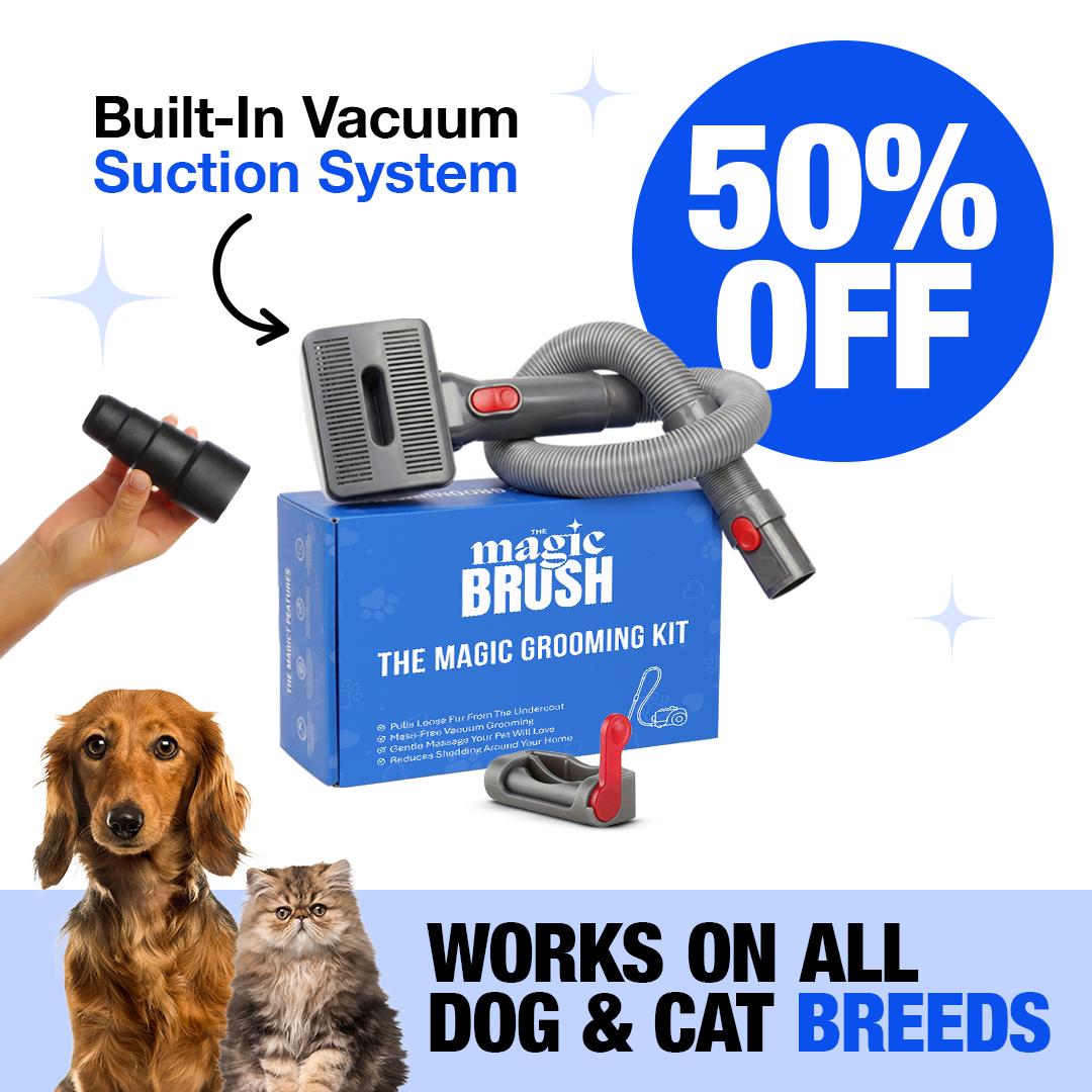 Magic Brush grooming kit with vacuum attachment, dog, and cat on a promotional background.