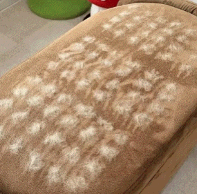 Beige sofa cushion covered in clumps of white pet hair before using the Magic Brush.