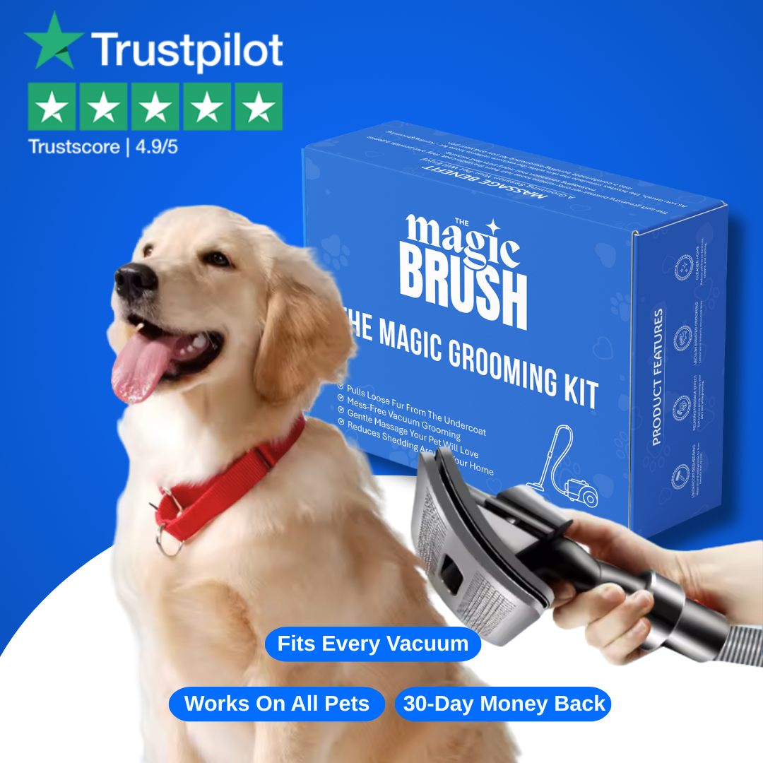Dog with a red collar next to a 'Magic Brush' grooming kit on a blue background, featuring Trustpilot rating.