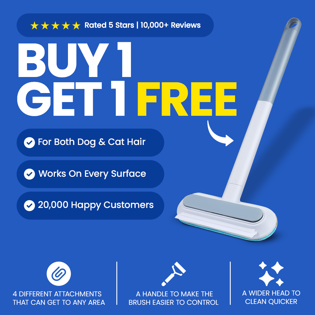 Magic Brush Pro™