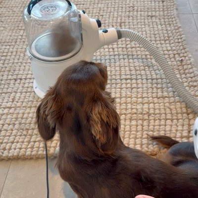 5 in 1 Grooming Vacuum