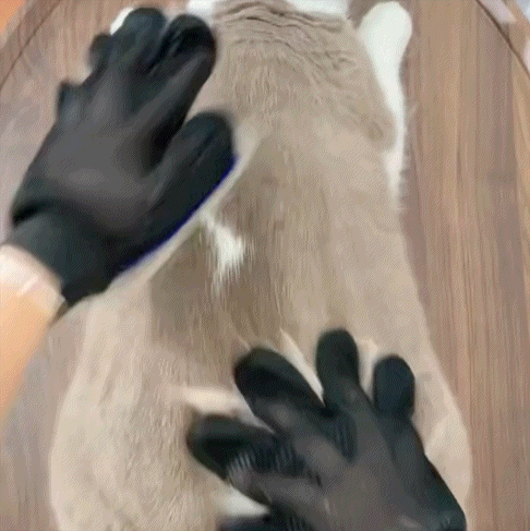 Magic Grooming Glove