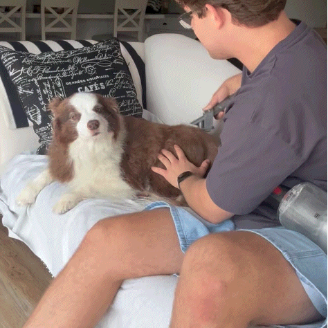Magic Grooming Kit in use