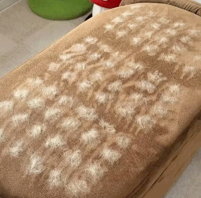Alvis Tüysil yakın çekim