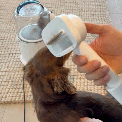 5-in-1 Grooming Vacuum complete kit