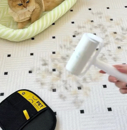 Fast Cleaning Demonstration