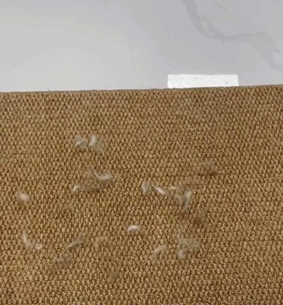 Multi Surface Cleaning Demonstration