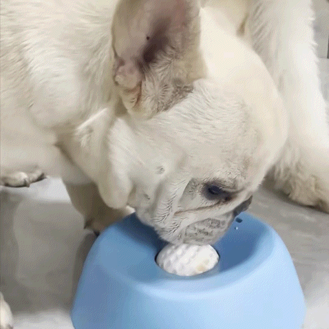 Spill-Proof Dog Bowl