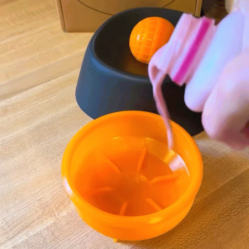 Spill-Proof Dog Bowl floating disk design