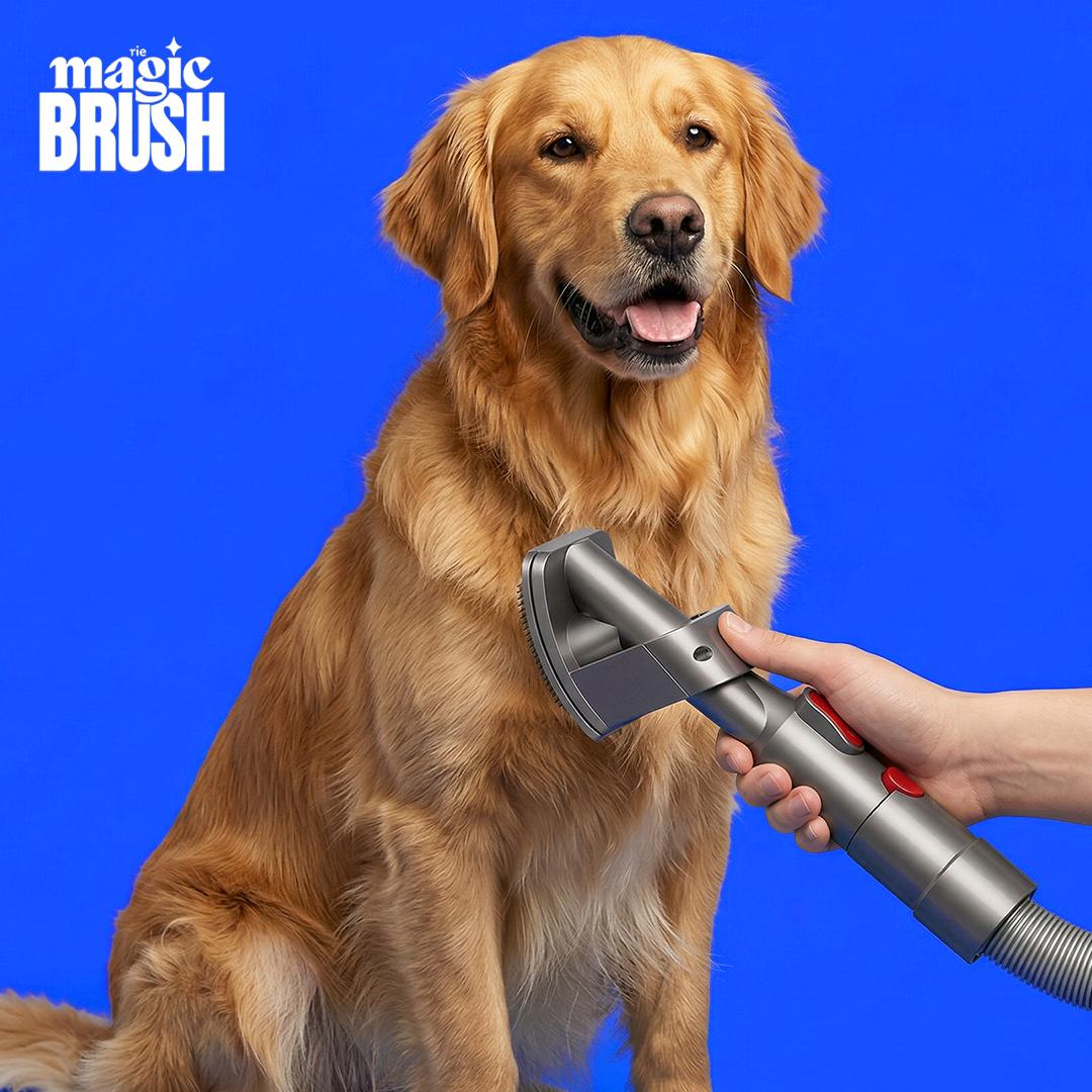 Dog being groomed with a grooming brush against a blue background, featuring 'The Magic Brush' brand.
