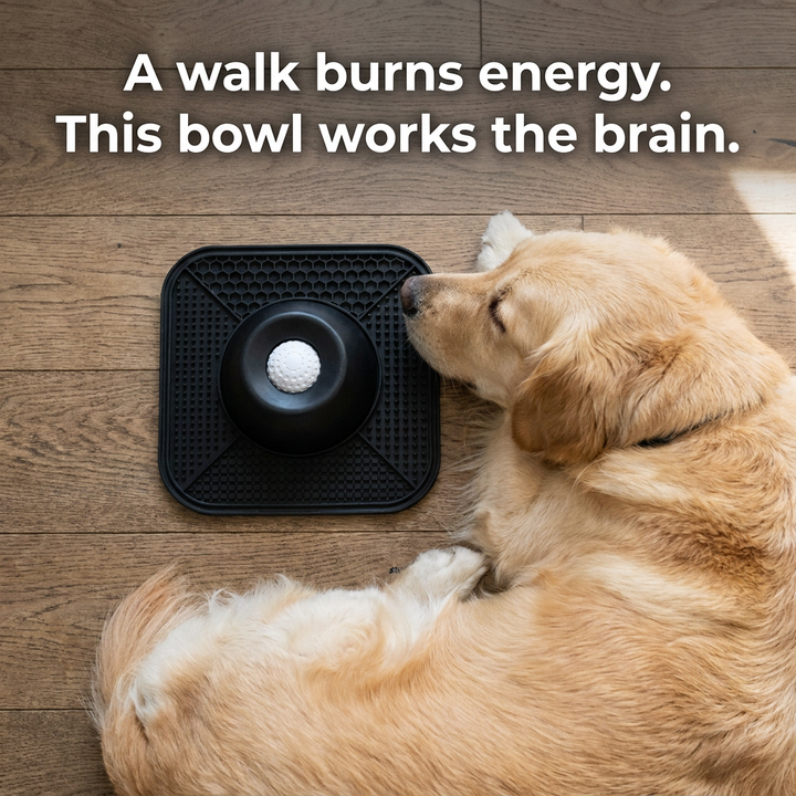 Dog with spill-proof bowl